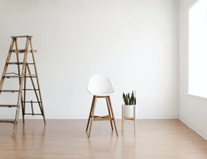 布莱顿客场大胜，继续保持不败