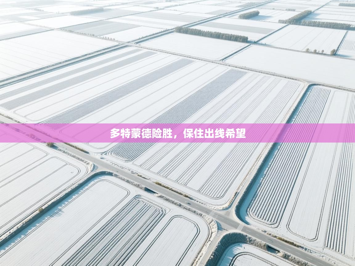 多特蒙德险胜，保住出线希望  第1张